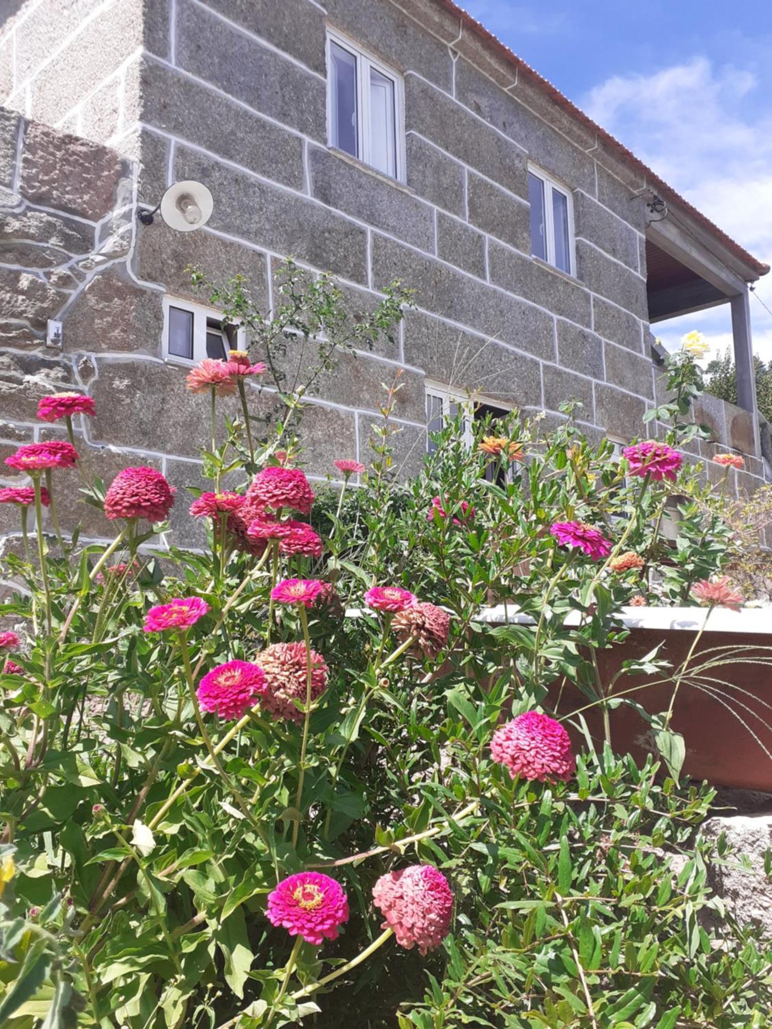 Dom wakacyjny Casa Leiras Loivos da Ribeira